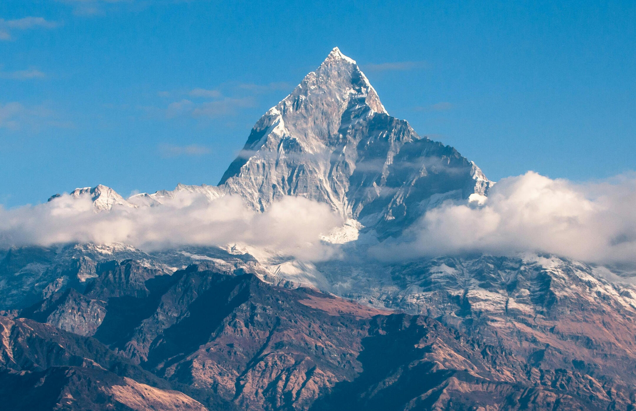 Digital marketing agency with creative branding expertise Full-service web design and development team Skilled software engineers and programmers for hire Experienced graphic designers for logos and visuals